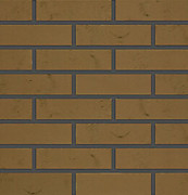 Олива 1 от 790р