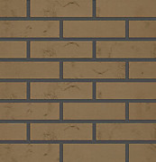 Олива 2 от 790р